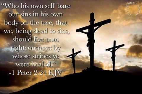 1 Peter 2_24