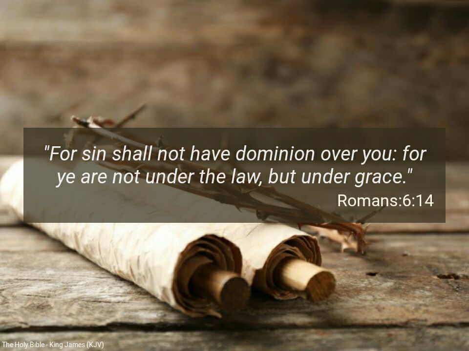 Romans 6_14
