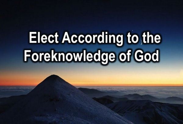 Elect According to Foreknowledge