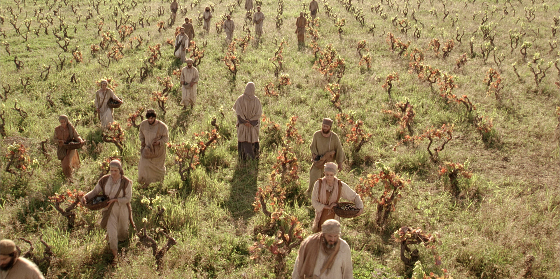 Laborers in His Vineyard