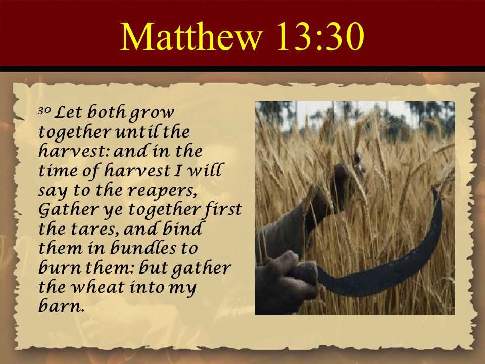 The Tares and the Wheat