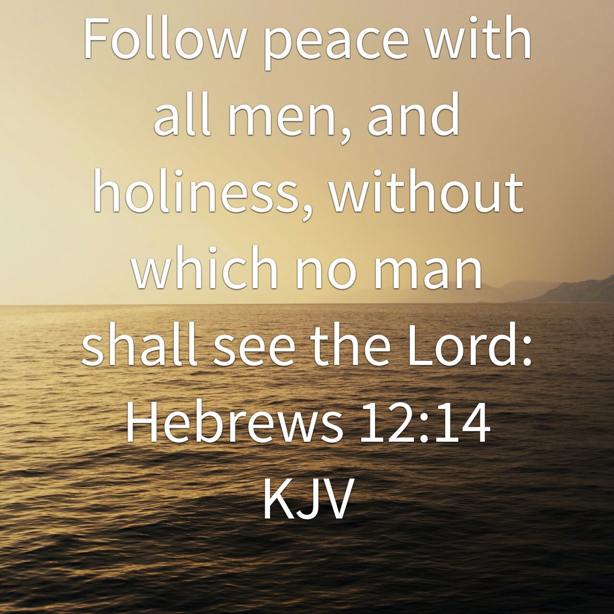 Hebrews 12_14